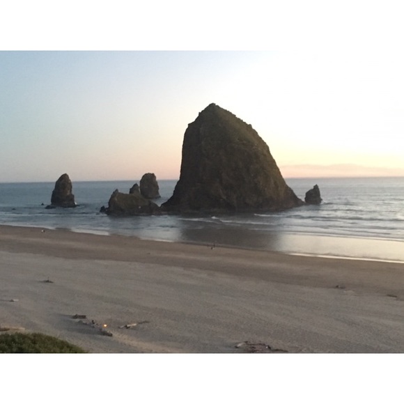 Meet your Posher, Holly - Picture 2 of 12